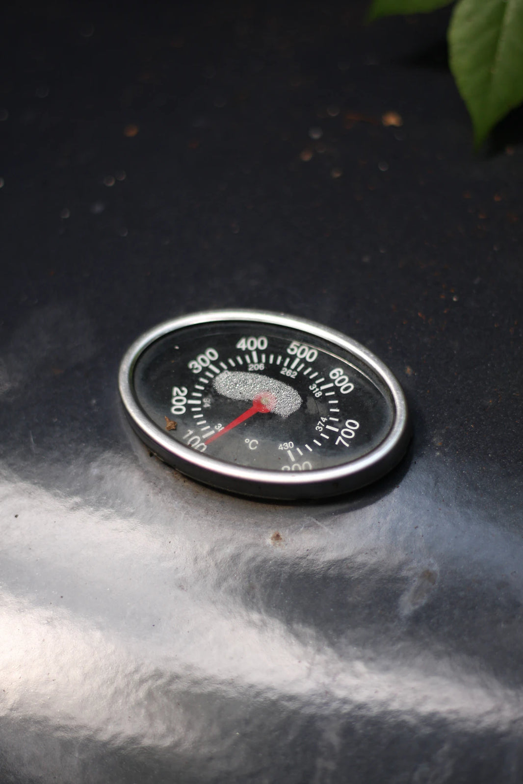 Perfekte Temperatur für Lebensmittel So geht's