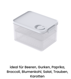 The DATEMATE KLAR White Food Storage Container with Shelf Life Timer from BNB x VCN features a stackable design, white lid, adjustable ventilation, and is ideal for storing berries, cucumbers, peppers, broccoli, cauliflower, lettuce, grapes, and carrots.