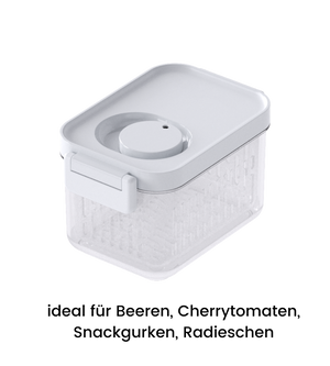 La boîte de conservation DATEMATE de BNB x VCN est transparente, a un couvercle blanc, un compteur de durée de conservation et est empilable. Parfaite pour les baies, les tomates cerises, les mini-concombres et les radis. Disponible en plusieurs tailles.