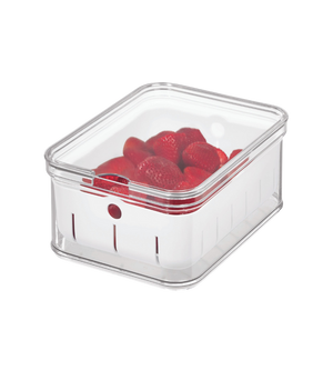 Rechteckiger Behälter mit Erdbeeren, auf weißem Boden mit Deckel verschlossen.