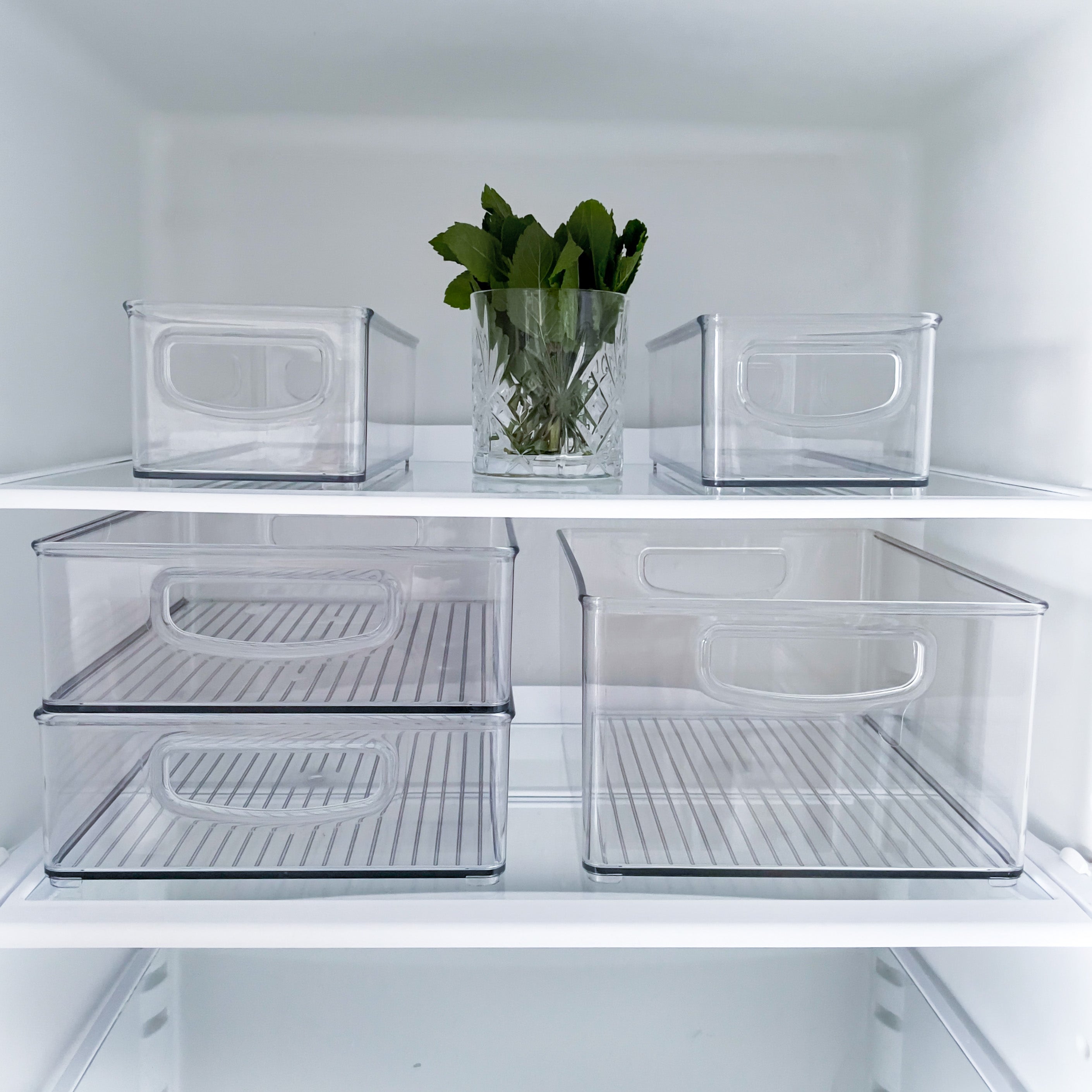 In einem aufgeräumten Kühlregal steht das iDesign Kühlschrank-Set MINI (5-teilig): fünf stapelbare Behälter, alle leer bis auf ein zentrales Glas mit frischen grünen Kräutern.