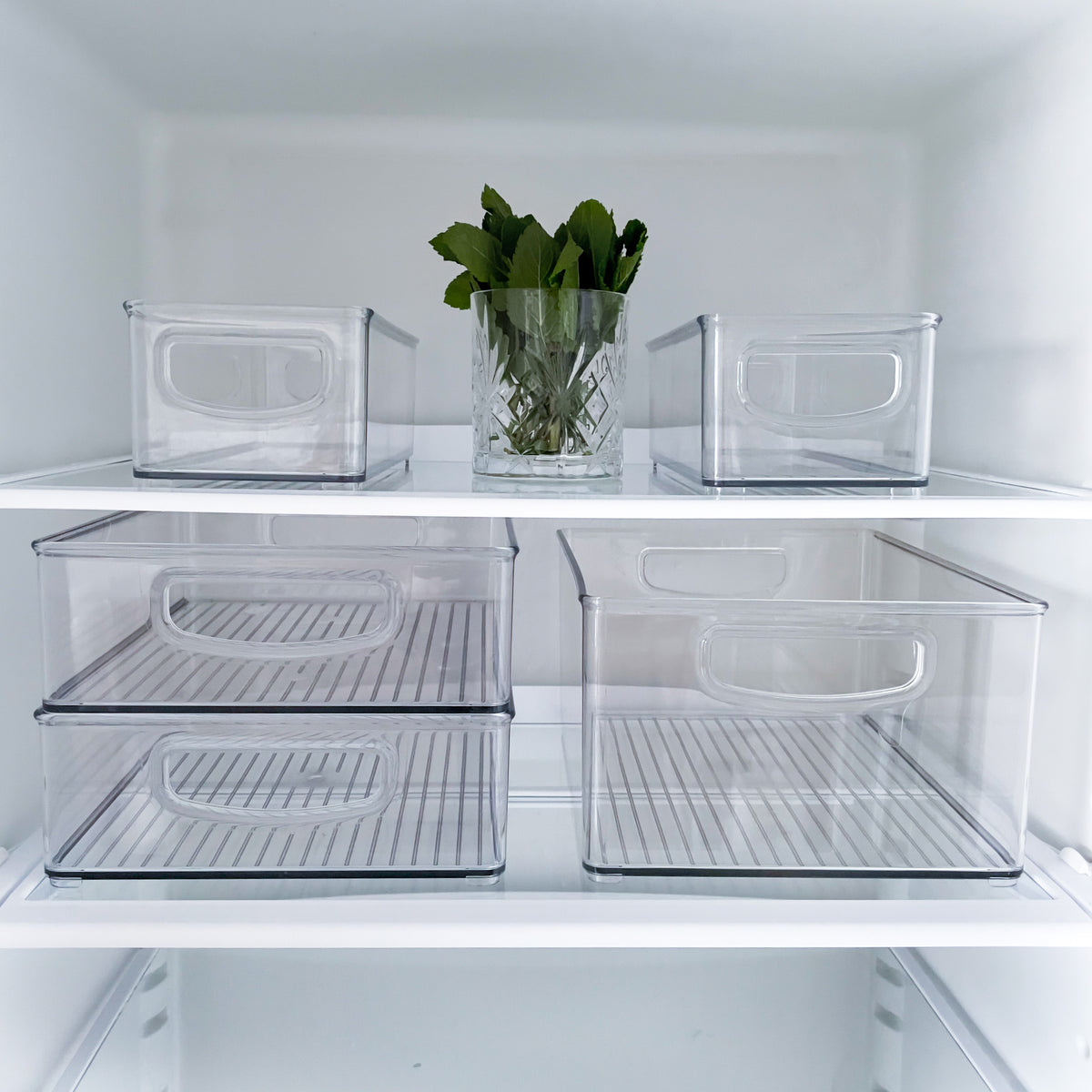 In einem aufgeräumten Kühlregal steht das iDesign Kühlschrank-Set MINI (5-teilig): fünf stapelbare Behälter, alle leer bis auf ein zentrales Glas mit frischen grünen Kräutern.