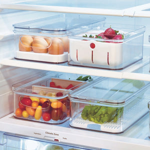 Kunststoffbehälter mit Eiern, Erdbeeren, Tomaten und Gemüse, ordentlich im Kühlschrank. Text: „Climate Zone“.